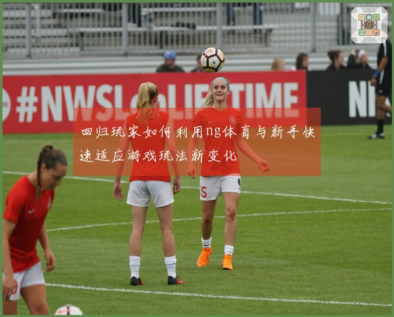 回归玩家如何利用ng体育与新手快速适应游戏玩法新变化