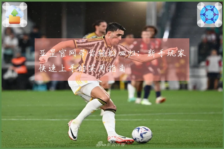 亚星官网带你轻松回归：新手玩家快速上手的实用指南